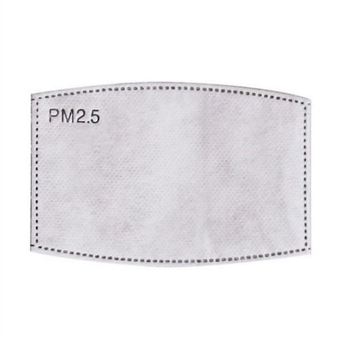 PM 2.5 Carbon Filter (Generic)